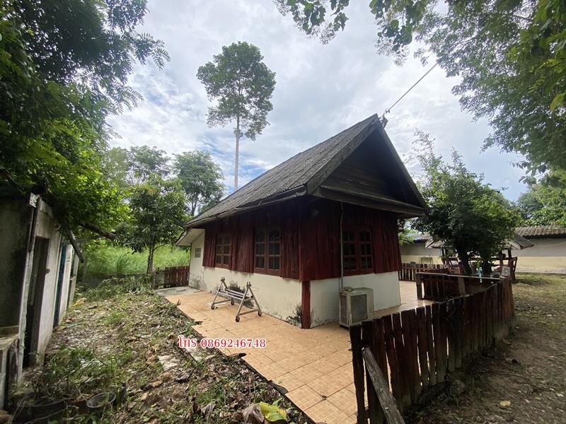 บ้านพร้อมที่ดิน200ตารางวา 4