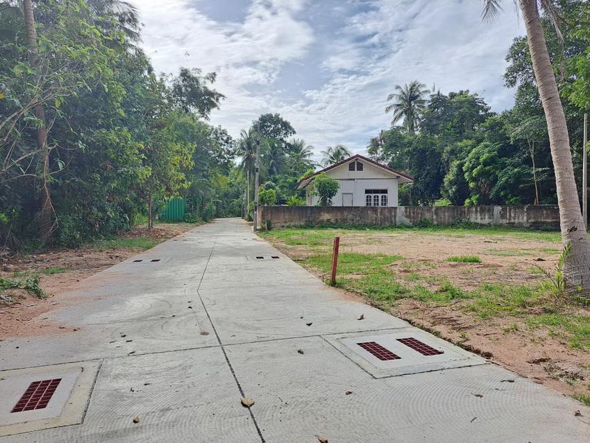 ขายที่ดินบางละมุง 200 ตร.ว ตะเคียนเตี้ย ใกล้นิคมโรจนะแหลมฉบัง ชลบุรี 2