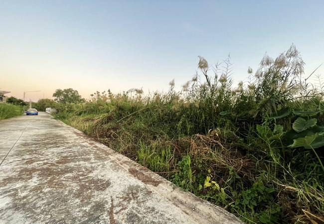 ขายที่ดิน 70 ตร.ว. ซอยโคกช้าง ถนนพิษณุโลก-วังทอง ตำบลอรัญญิก อำเภอเมือง พิษณุโลก 6