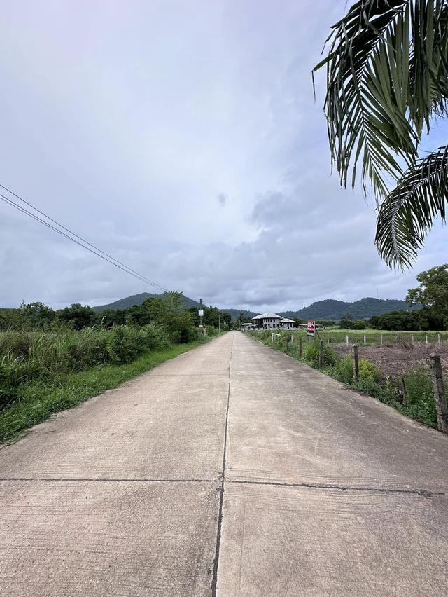 ขายที่ดินตะพงติดวิวเขาเนื้อที่ 300 ตรว. ติดถนนคอนกรีต ใกล้ถนนสุขุมวิท3-800เมตร เมืองระยอง 4