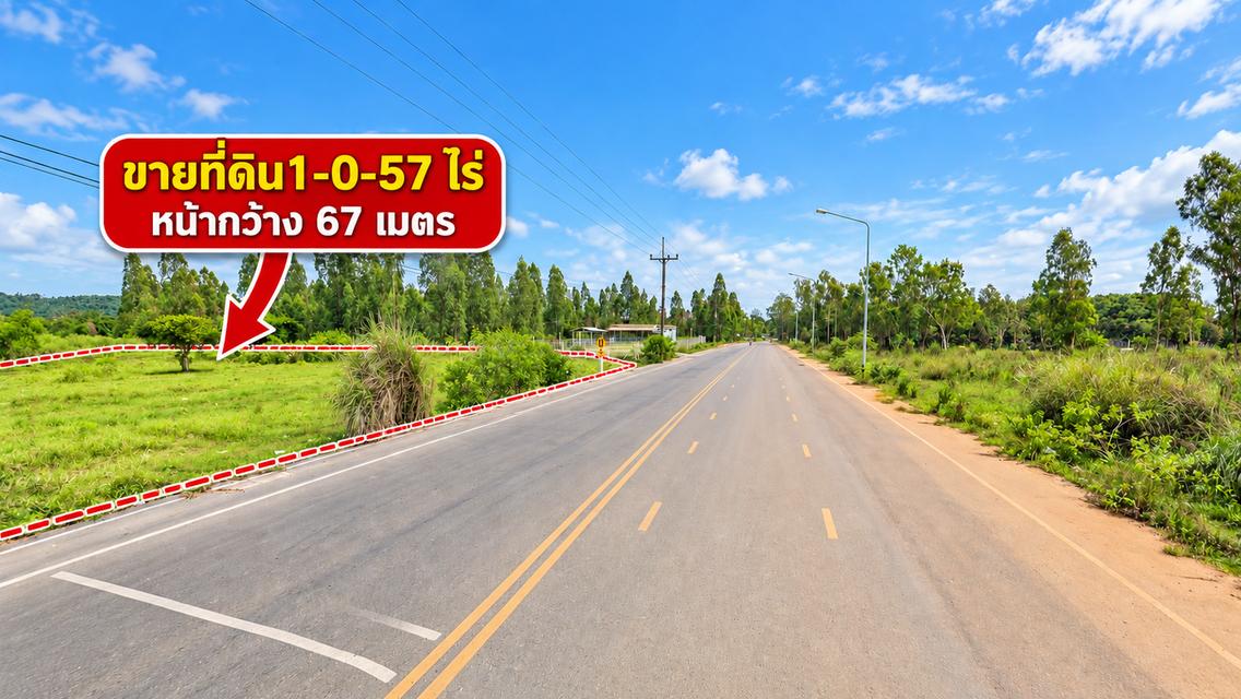 ขายที่ดินติดถนน 4 เลน หน้ากว้าง 67 ม.ใกล้หาดแม่รำพึง 1.2 กม. 1-0-57 ไร่ เพ ระยอง ไฟฟ้าและประปาพร้อม 3