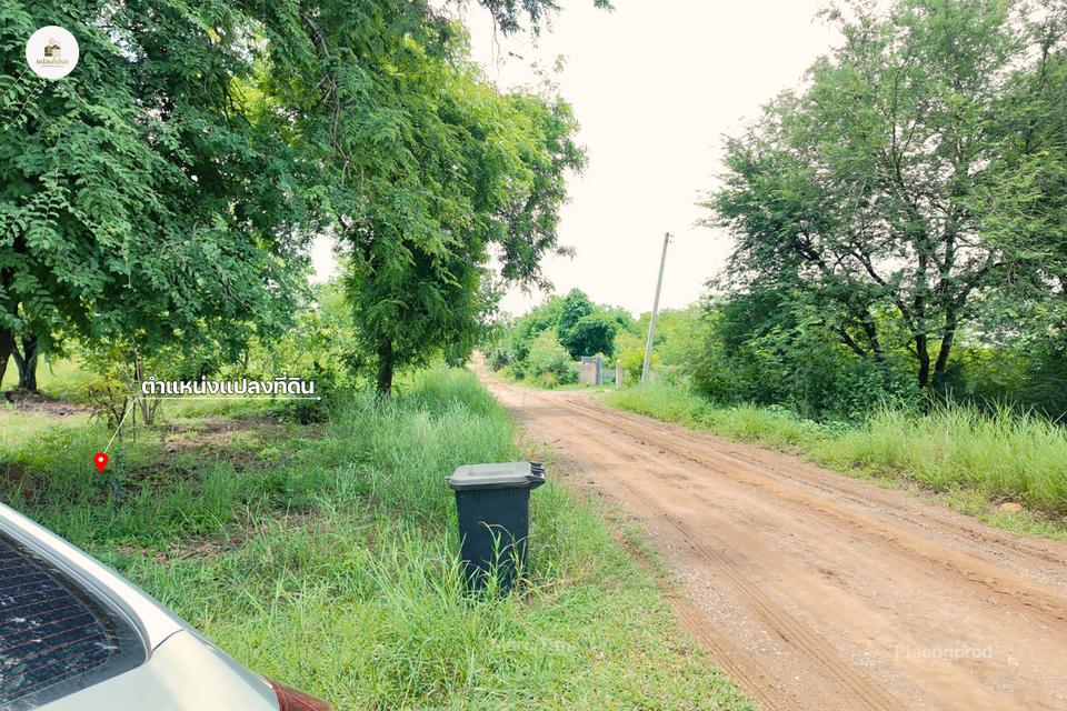 ขายบ้านพร้อมที่ดิน 2 ไร่ 2 งาน 19 ตร.ว. โฉนดครุฑแดง วิวภูเขา ต.วังชมภู เพชรบูรณ์ 11