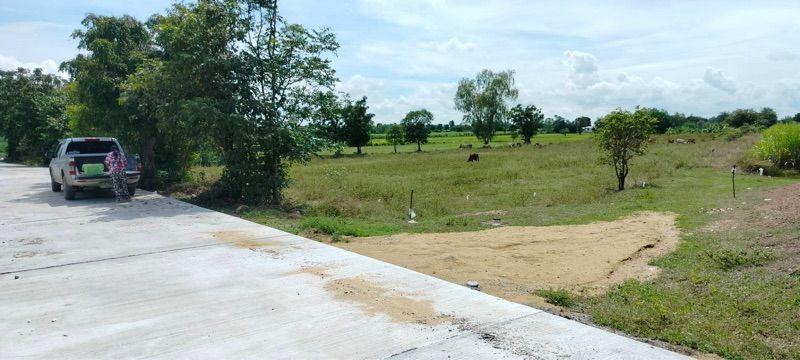 ขายที่ดินเปล่า ทำเลดี ติดถนนปูน ไฟฟ้าถึง จังหวัดสุพรรณบุรี 7