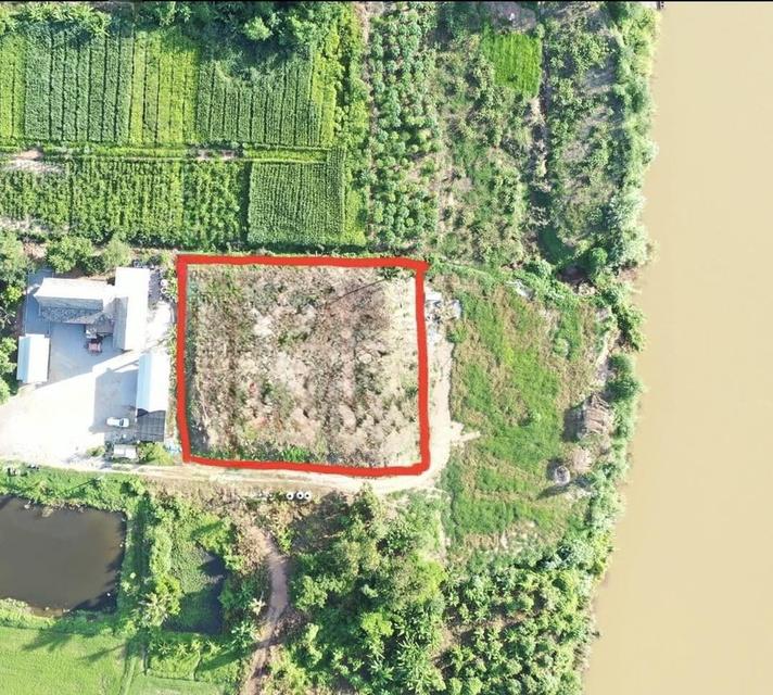 ที่ดินติดริมโขง จ.เลย 2