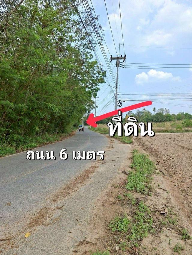 ที่ดิน15ไร่3งาน73ตร.วา 4