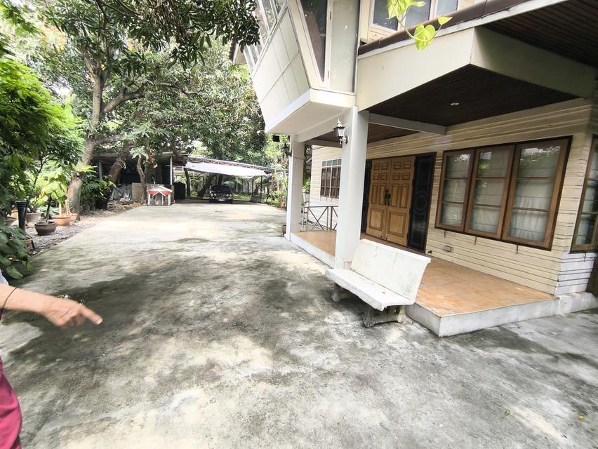 บ้านเดี่ยวเนื้อที่ 446 ตรว. ใจกลางเมือง เหมาะสำหรับลงทุน 12