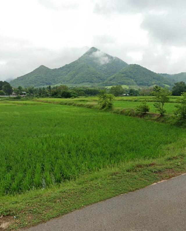 ที่ดิน จ.เลย ตำบลท่าลี่ อำเภอท่าลี่ จังหวัดเลย 2