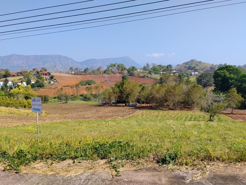 ที่ดินเขาค้อ วิวภูเขา ถนน น้ำ ไฟ พร้อม 8