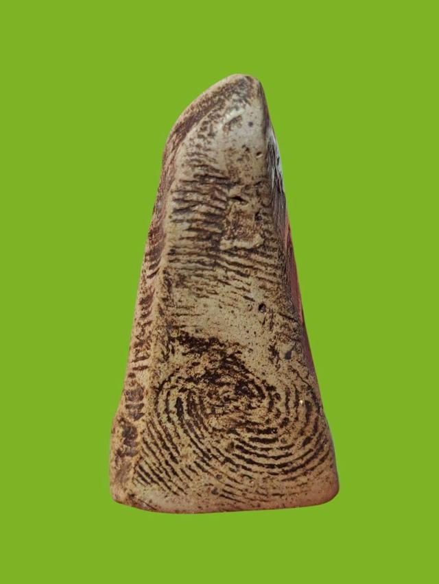 พระผงสุพรรณ เปิดให้บุชาจ้า รูปที่ 2