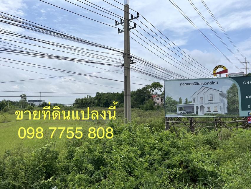 ที่ดิน 8 ไร่ ติดถนนสายเอเชีย 85 เมตร หน้านิคมไฮเทค บางปะอิน 098 7755 808 6