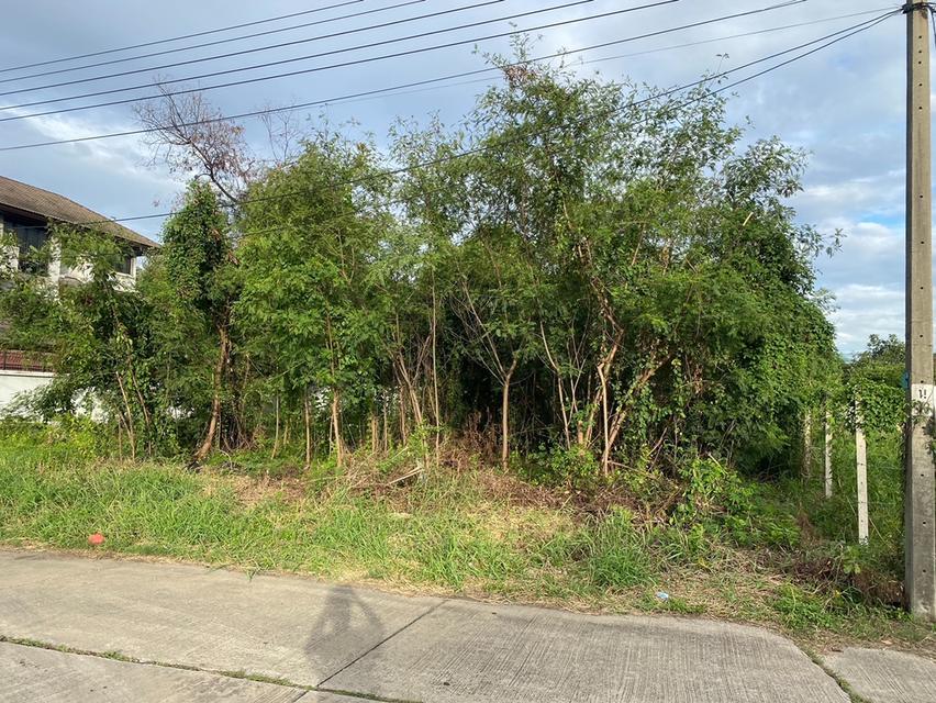 ที่ดินในเมืองทองธานี ถมแล้ว ใกล้รถไฟฟ้า  3