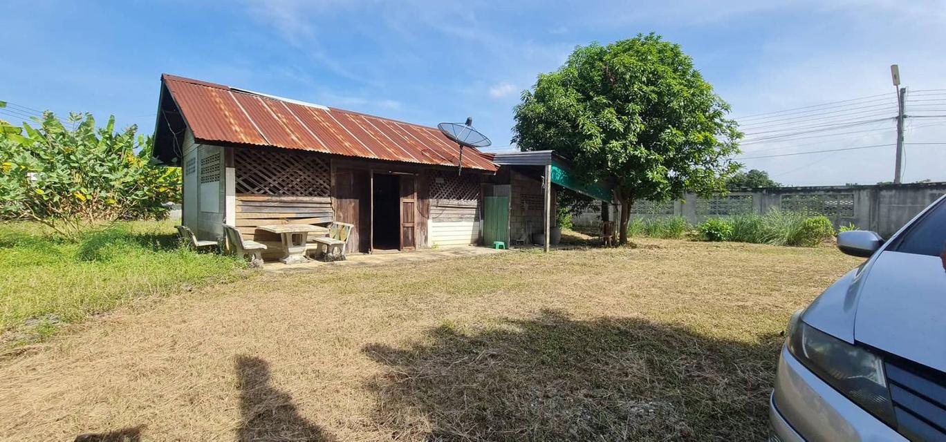 ที่ดินพร้อมบ้านไม้เก่า 2
