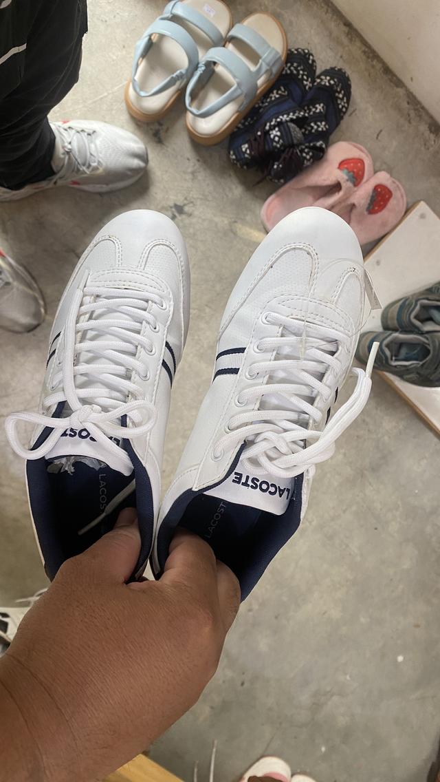 Lacoste Youth MISANO 116 Sneakers in Navy 12