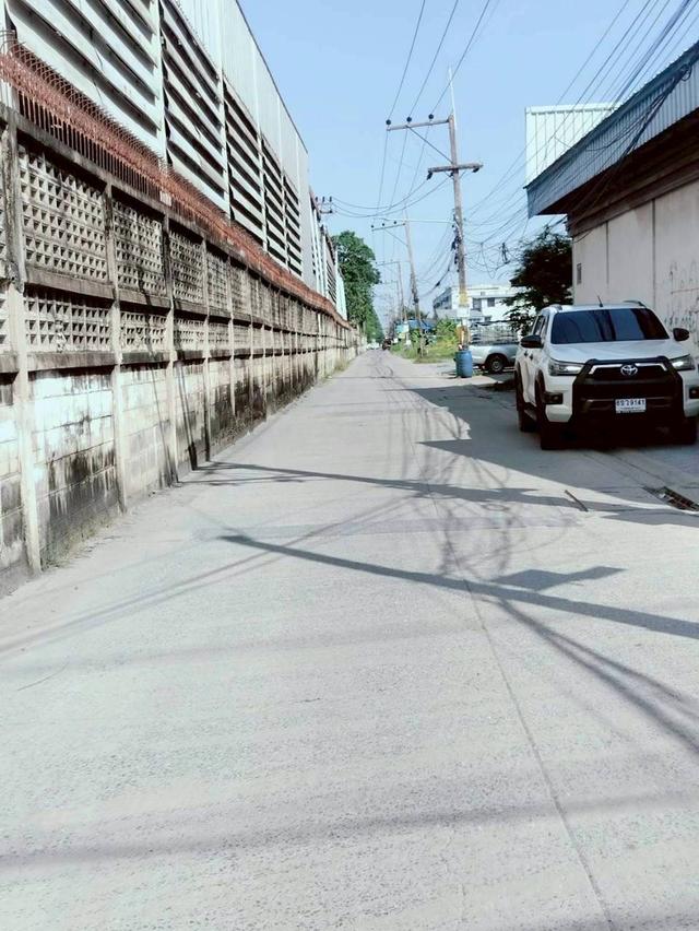 Vายด่วนnที่ดินรังสิต 1 ไร่ ติดถนนคอนกรีตสาธารณะ ซอย รังสิต-นครนายก 17 อ.ธัญบุรี จ.ปทุมธานี