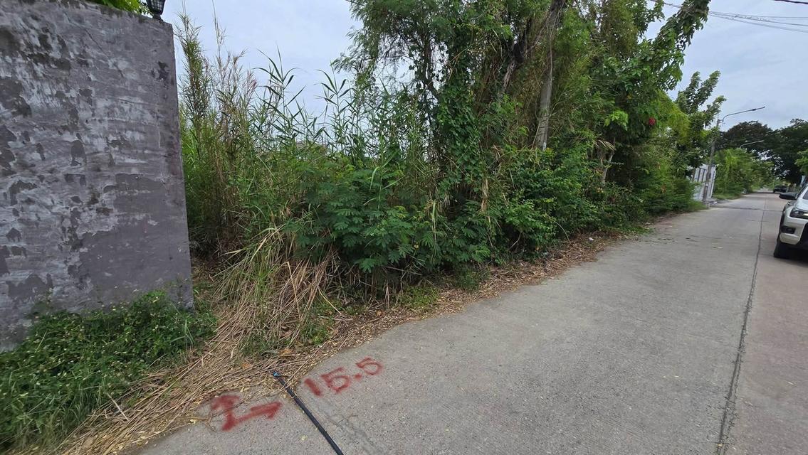 ขายด่วนที่ดินศรีด่าน 100 ตรว ติดถนนคอนกรีตสาธารณะ ซ.พัฒนาชุมชน 29 บางพลี สมุทรปราการ 3