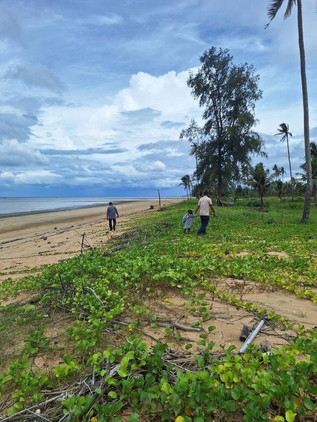 ที่ดิน หาดตะวันฉาย อ.ละแม จ.ชุมพร 7