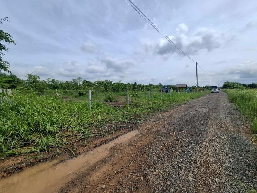 ขายที่ดินคลอง 11ซอยปลายนาร่วมฤดี 1 ใกล้วัดป่าคลอง11 หนองเสือ ปทุมธานี 8