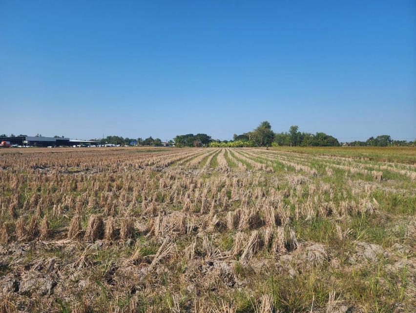ขายที่ดิน แถวถนนสุวินทวงศ์ 4