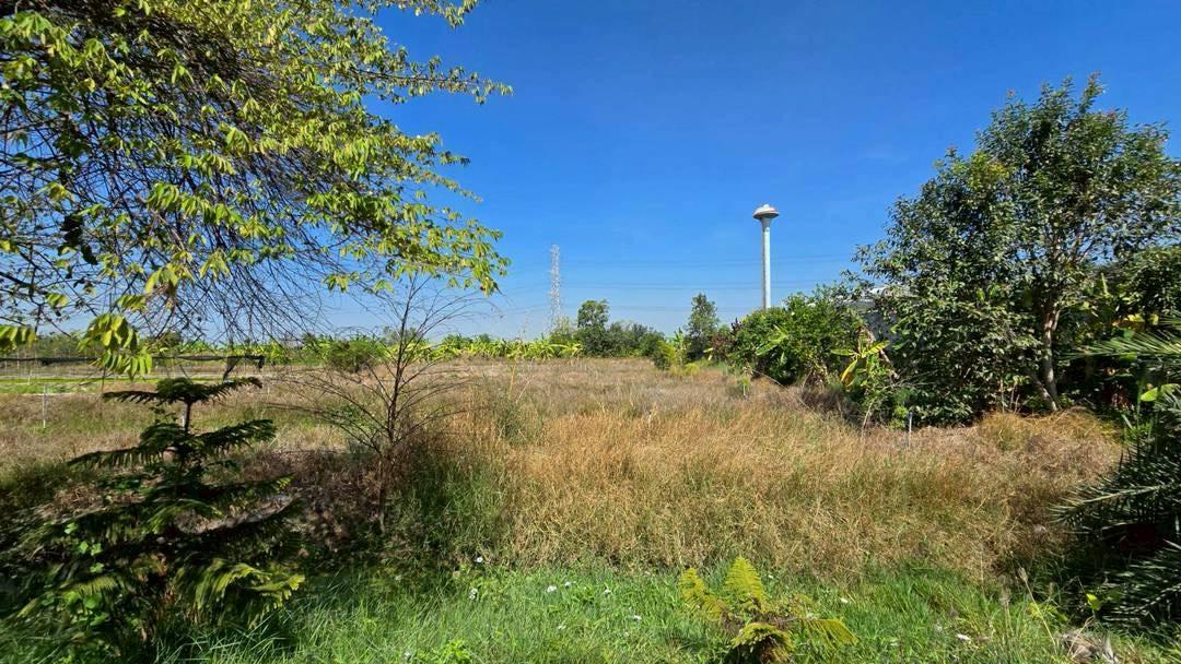 ขายด่วนที่ดินผังสีม่วง 466 ตรว ติดถนนลาดยางสาธารณะ ถนน นบ.3015 อ ไทรน้อย จ.นนทบุรี 10