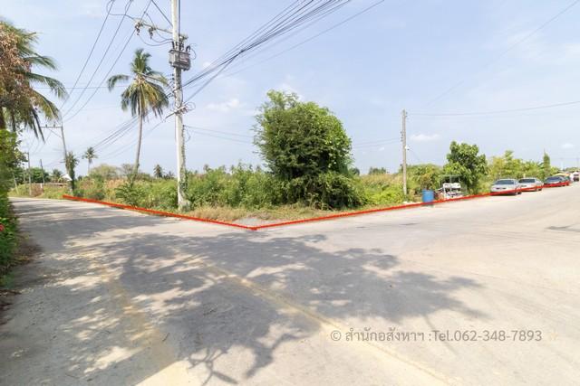ขายที่ดินทำเลทอง ต.คลองใหม่ สามพราน นครปฐม ติดถนน 2 ด้าน 1