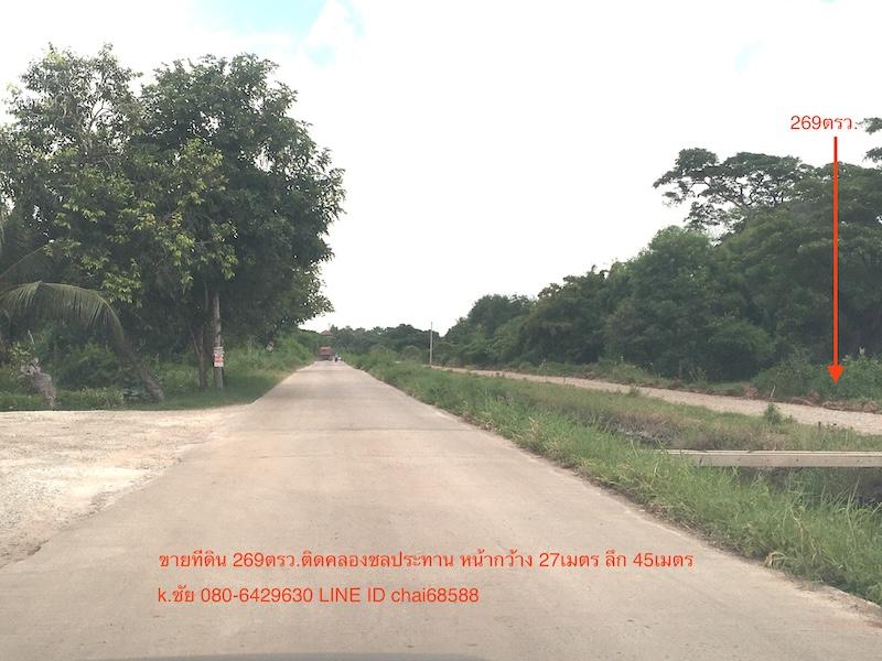 ขายที่ดิน 269ตรว.ติดถนนเลียบคลองชลประทาน ตำบลหมื่นไวย เมืองโคราช ใกล้ร้านกะลาก้นครัว ห่างจากถนนบายพาส 204 ประมาณ 1กม.ที่ดินเหมาะพัฒนาเป็นบ้านสวน 1