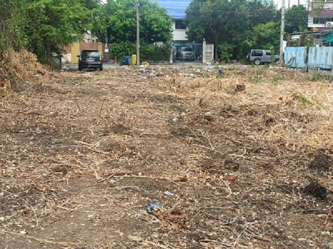  ที่ดินแบ่งขาย50ตรว. 100ตรว. 200ตรว. พระราม2  บางกระดี่ บางขุนเทียน กรุงเทพ 4