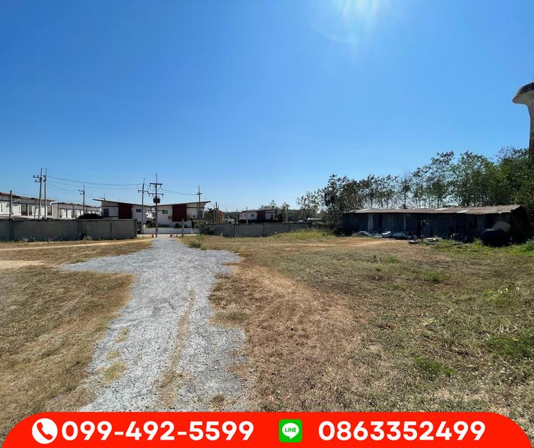 ขายด่วน ขายที่ดินต่ำกว่าราคาประเมิน ที่ดินติดริมถนนปลวกแดง เส้นLG 5