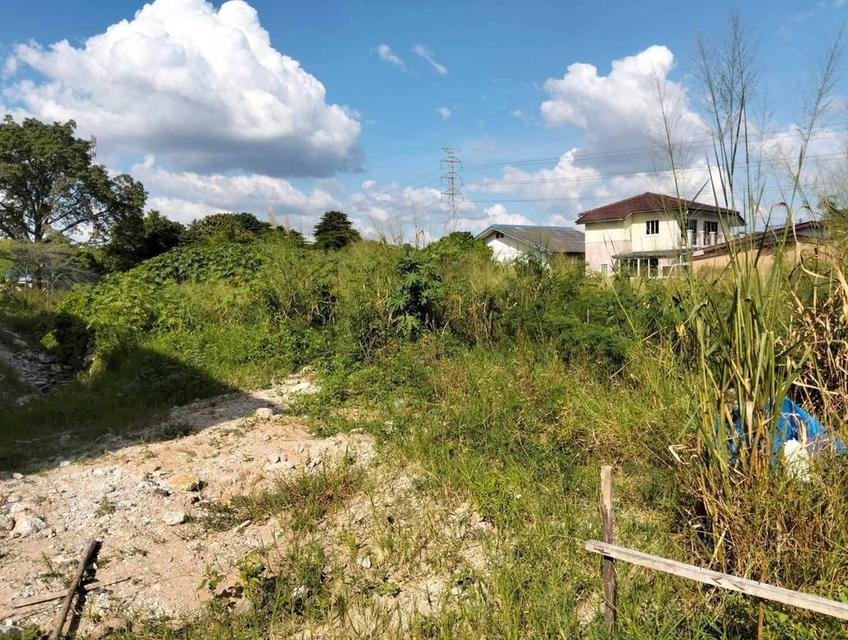 ที่ดิน 2 ไร่ 3 งาน แหลมฉบัง ใกล้ท่าเรือ 3 กม. 4