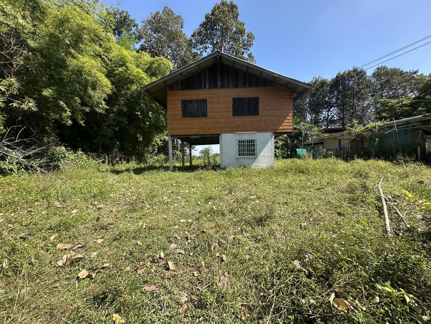 ขายด่วนที่ดินแถมบ้าน อำเภอเมืองอุบลราชธานี ใกล้สนามบินอุบล 9