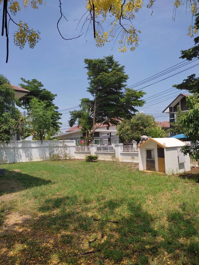 ขายบ้านเดี่ยว 2 ชั้น สไตล์โมเดิร์น เชียงใหม่ 8