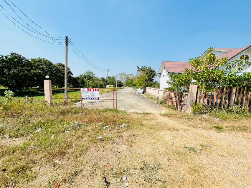 ที่ดิน พร้อมบ้านเดี่ยว 2 ชั้น ถนนรังสิต-นครนายก ตำบลบึงน้ำรักษ์ อำเภอธัญบุรี จังหวัดปทุมธานี 6