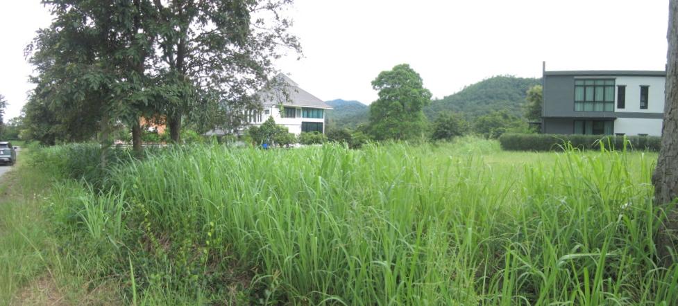 ขายที่ดินวิวเขาภายในโครงการสนานกอล์ฟ เซอร์เจมส์ คันทรี คลับ พร้อม Member