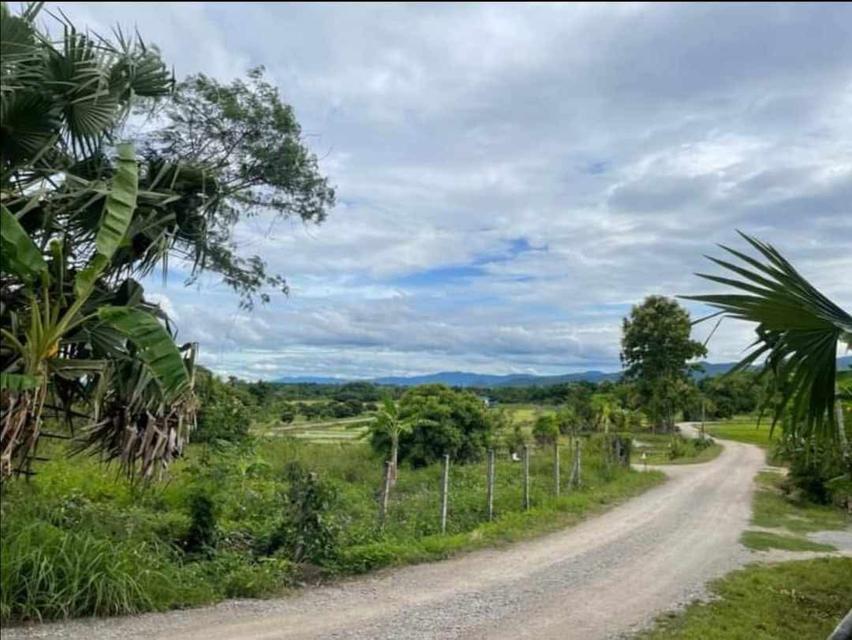 🌳ขายที่ดินเจ้าของขายเอง ด่วน📌 3