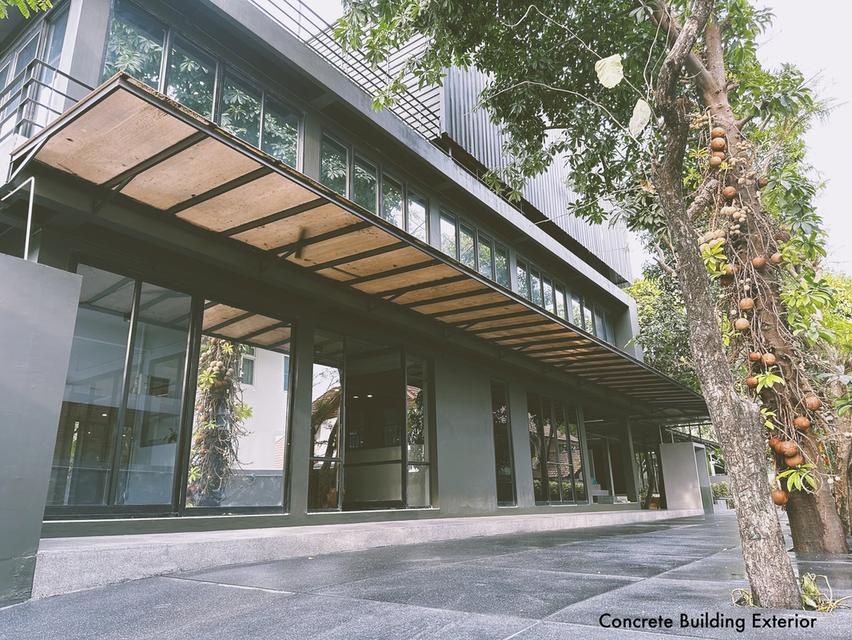 U1461 ให้เช่าบ้านเดี่ยว 2 หลังสไตล์รีสอร์ท ใจกลางเมืองย่านรัชดา32 ตรงข้ามศาลอาญา ขนาด231 ตารางวา บ้านพร้อมเฟอร์บางส่วน 2