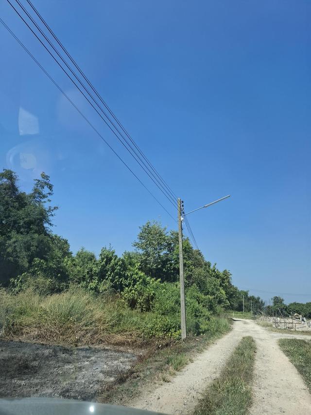 ที่ดินเปล่า 2 แปลงติดกัน หน้าติดถนนซอยบ้านดอนแต้วพัฒนา ต.พิกุลออก อ.บ้านนา จ.นครนายก 2