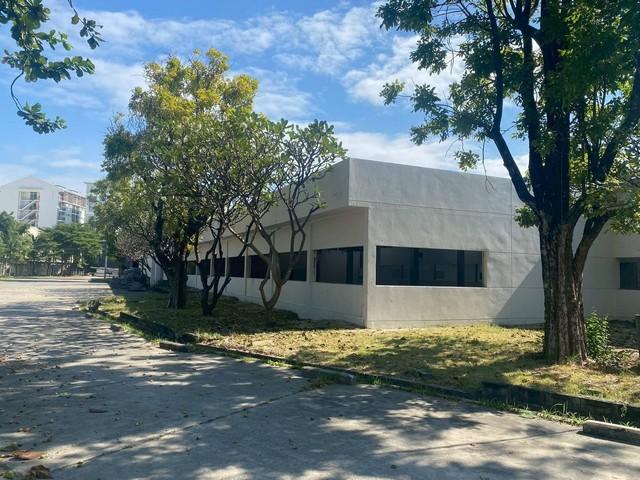 ให้เช่าโกดังคลองตำหรุเมืองชลบุรี ให้เช่าโกดัง 5,800 ตารางเมตร 4