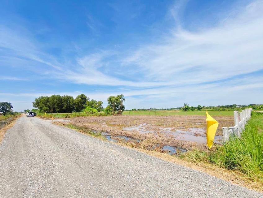 คลอง 6 ซอย 67 แปลงเล็กเหมาะปลูกบ้าน