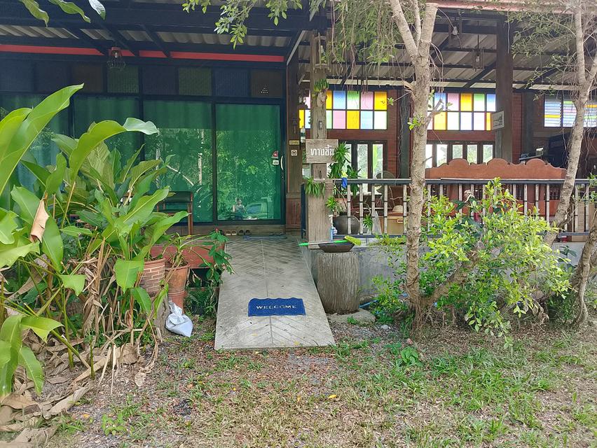 บ้านพร้อมที่ดินขนาด1ไร่ 37ตรว บ้าน4ก้องนอน4ห้องน้ำ พื้นทีจอดรถได้หลายคัน พร้อมทั้งสวนผลไม้ 4