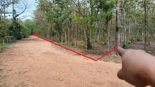 ที่ดินพร้อมสวนป่าสัก 8-2-21 ไร่ ต.ทุ่งยั้ง อ.ลับแล จ.อุตรดิตถ์ รูปย่อยที่ 3