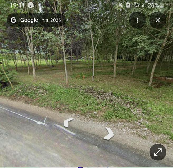 ไร่ยาง นส.4 จ. ครุฑแดง 4 ไร่กว่า พร้อมทำรายได้ทันที 4