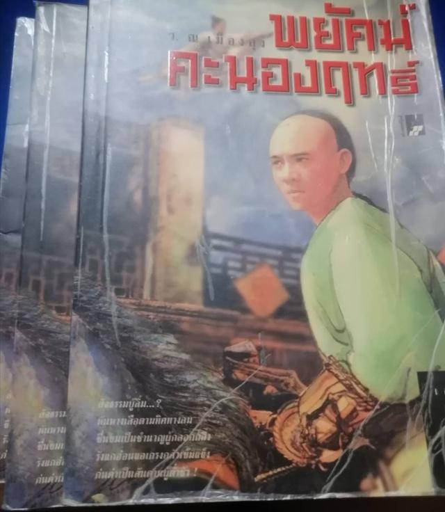 พยัคฆ์คะนองฤทธิ์ 3 เล่มจบ หนังสือจีนกำลังภายในหายาก
