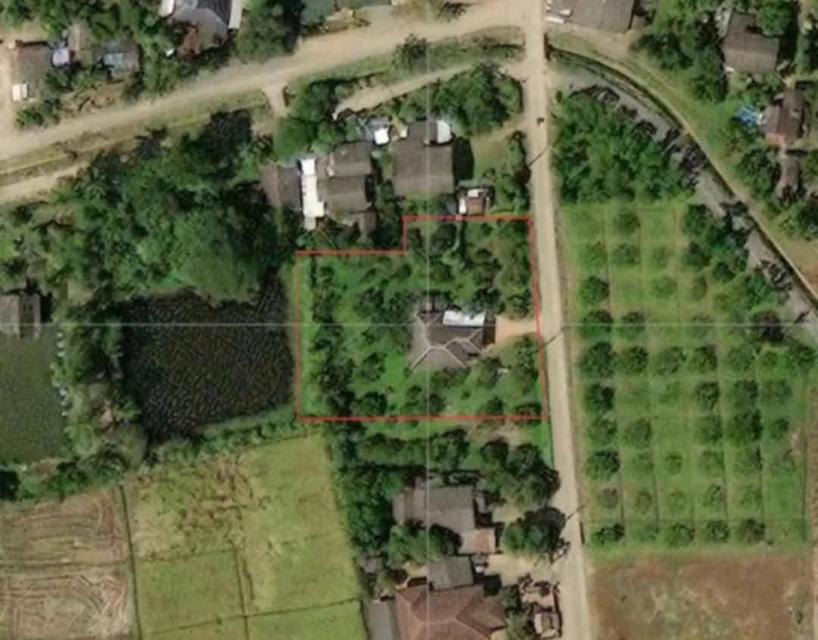 ขายที่ดิน เชียงใหม่ แม่แตง พื้นที่ชุมชน 11