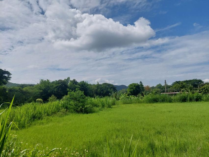ขายที่ดินบ้านปง อ.หางดง จ.เชียงใหม่ 2ไร่ 8 ล้าน 1