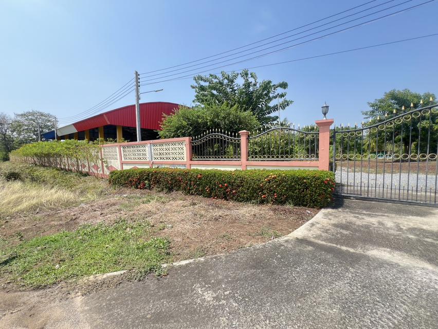 ขายด่วน! ที่ดินผืนใหญ่ 12 ไร่ พร้อมบ้าน 4 หลัง (ตกแต่งด้วยไม้สัก) – อ.สามชุก จ.สุพรรณบุรี 3