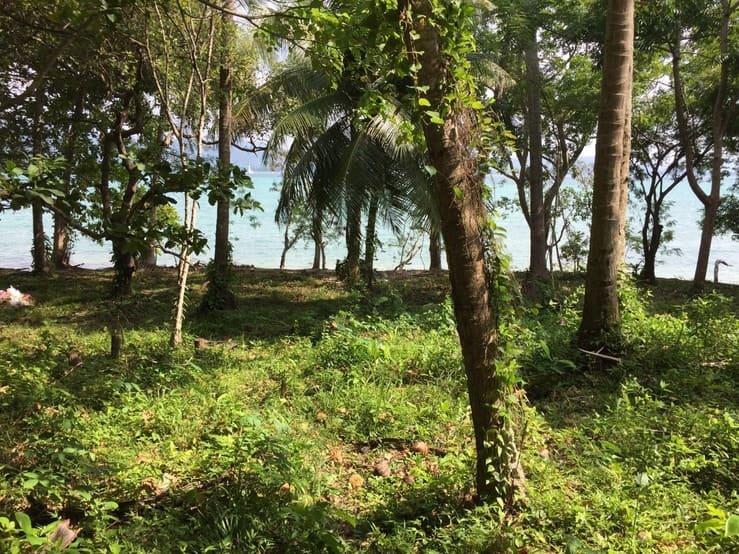 ประกาศขายที่ดินติดหาด เกาะโหลน จังหวัดภูเก็ต ขายยกแปลง เจ้าของขายเอง 5