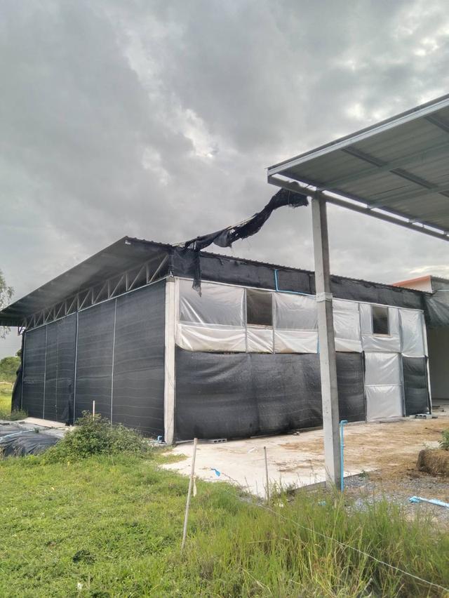 ที่ดินพร้อมจริงปลูกสร้าง 2