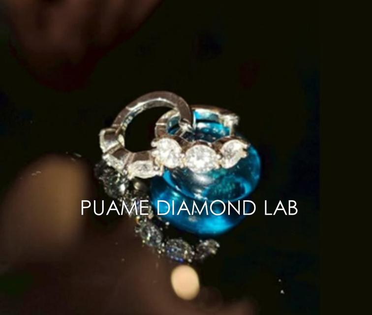 ต่างหูเพชรแท้ เพชรคัดสรรอย่างพิถีพิถัน ดีไซน์โดดเด่น งานผีมือละเอียดประณีต พร้อมใบรับประกันสินค้าที่ปุอามี่ Diamond Lap Rama2 (095-8894732)