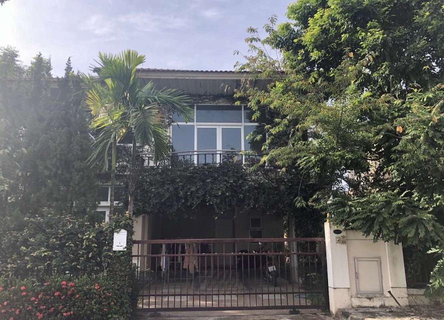 🏡 บ้านเดี่ยว 2 ชั้น ให้เช่า | โครงการคุณภาพ ทำเลเมืองเชียงใหม่ 1