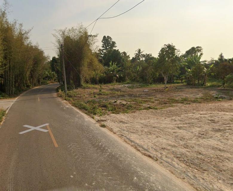 ขายที่ดินบ้านพระพร้อมสวนผลไม้เนื้อที่ 2 ไร่ ใกล้ถนนสุวรรณศรเส้นตัดใหม่33-2.5กม. อ.เมืองปราจีนบุรี 5