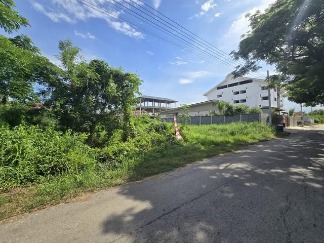 ขายที่ดินถมแล้ว 208.4 ตร.ว คลองสาม (ใกล้วัดธรรมกาย) กว้าง 26 ม. ลึก 30 ม. เหมาะสร้างบ้าน 1